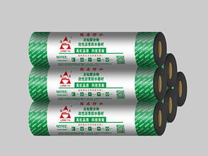 供應雨安牌500g聚乙烯丙綸高分子防水卷材純eva